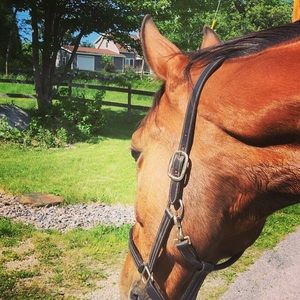 Meet your Posher, Danielle